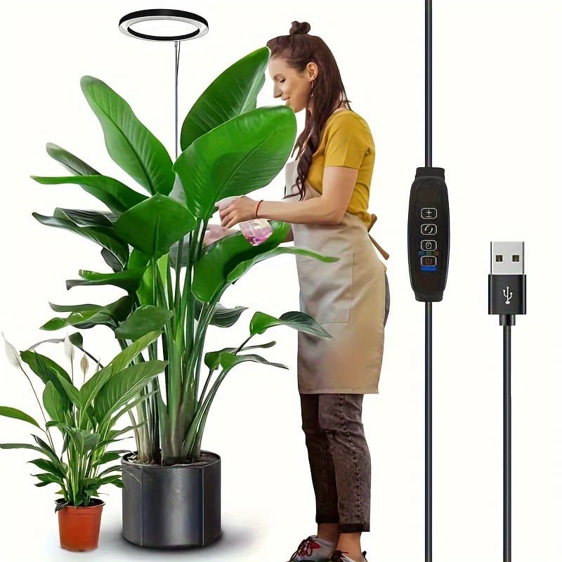 Cross-border Angel Ring Plant Light 6-Inch Full Spectrum LED Grow Light for Indoor Large Potted Plants