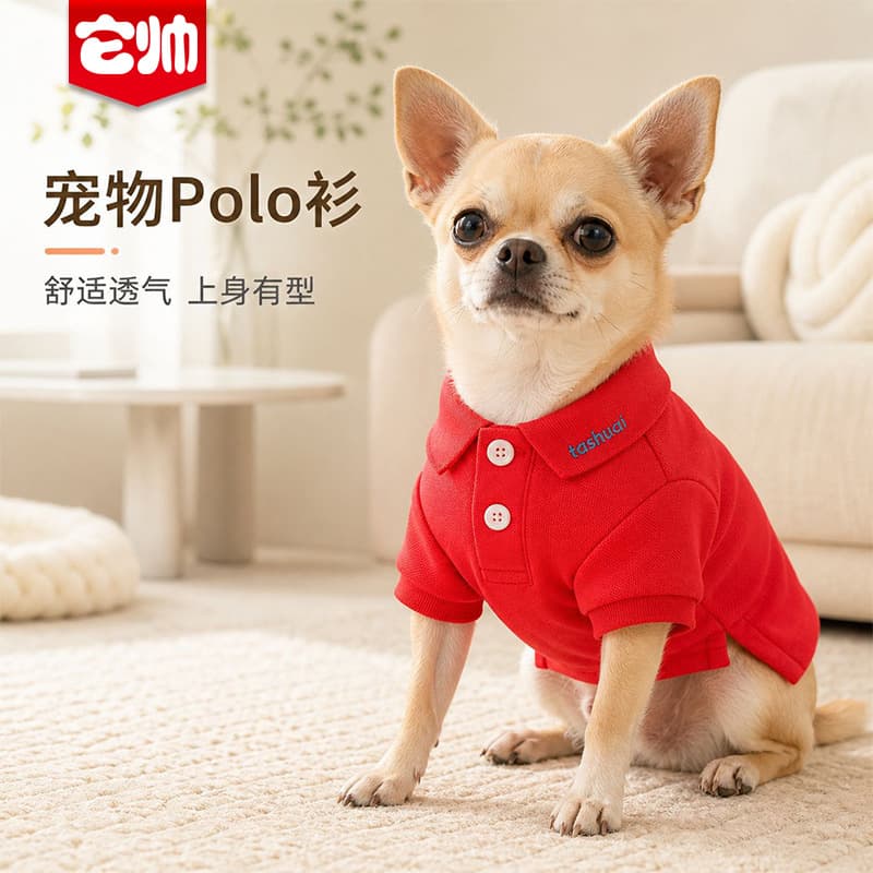Pet Clothing Dog Casual Breathable Polo Shirt Two-Leg Outfit for Teddy Bichon Pomeranian Schnauzer Small Dogs Versatile