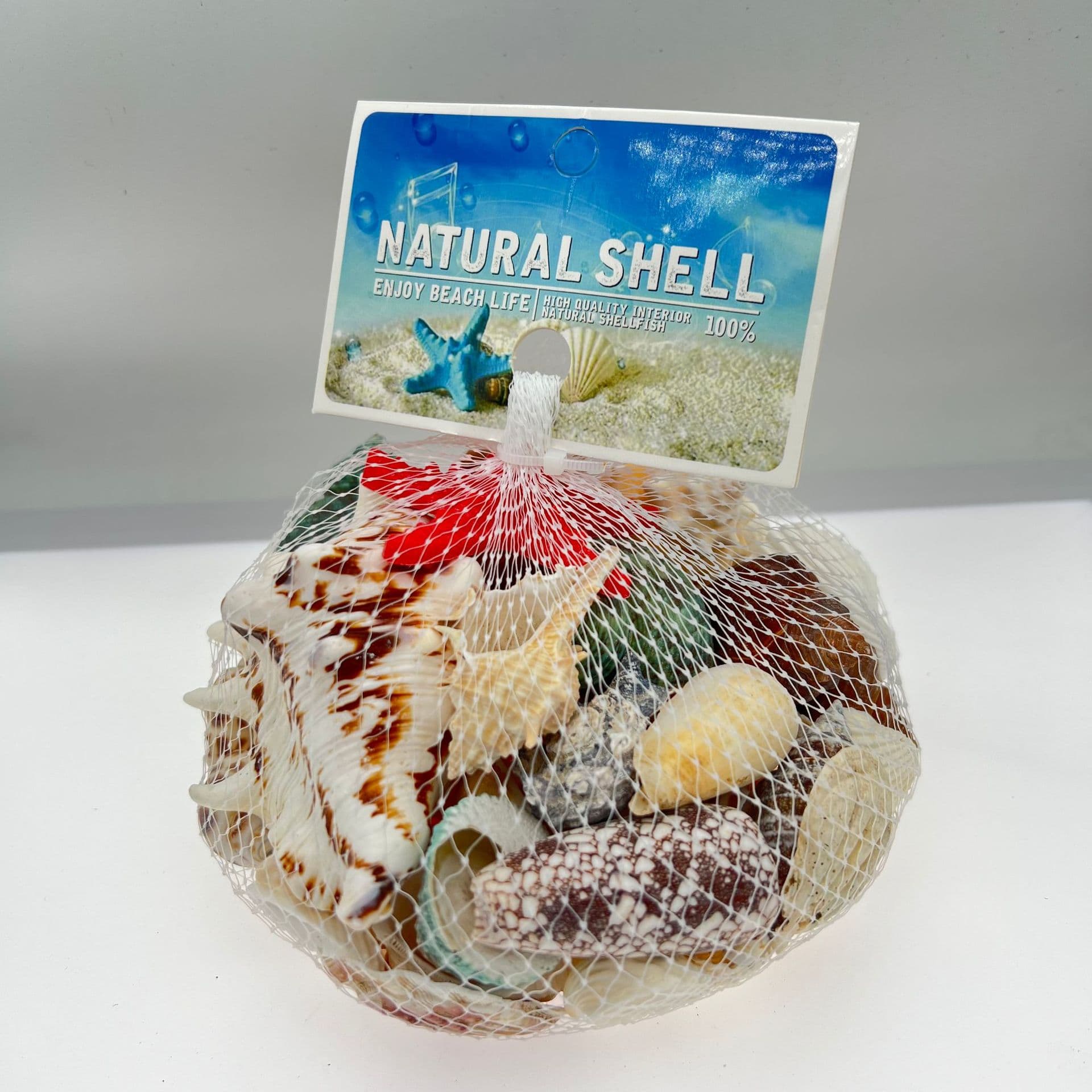 Study Natural Seashells, Conches, Starfish for Aquarium Decoration, Wind Chime DIY Crafts Wholesale