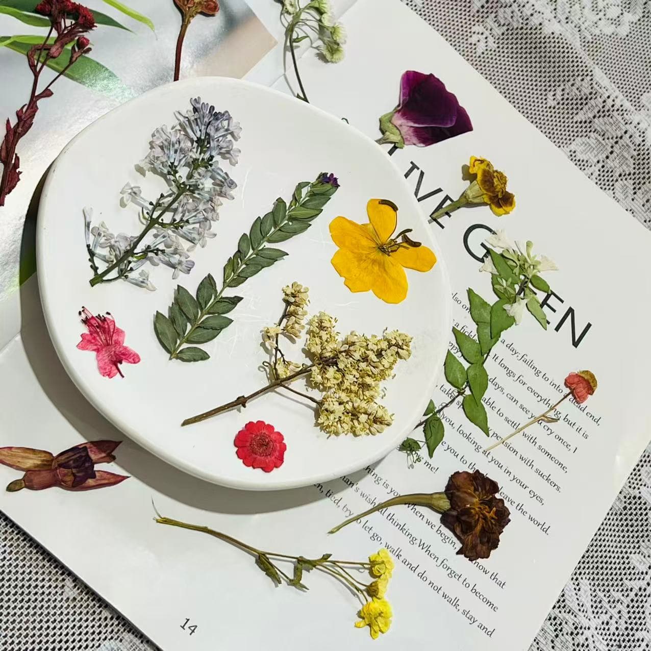 Lilac Dried Pressed Flower, Godetia Lantern Flower DIY Material Kit, Plant Specimen, Preserved Flower