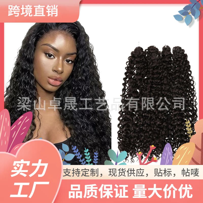 High-Temperature Wig Hair Extensions Braiding Hair Daily Wear