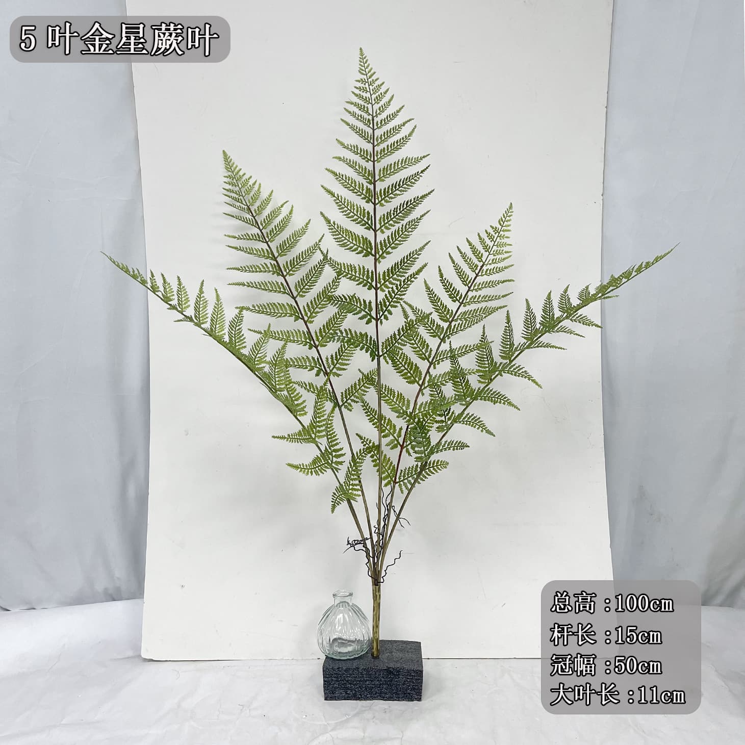 Large 5-Leaf Venus Fern Bundle, Persian Restaurant Landscape Decoration Large-sized Phoenix Tail Fern Plant