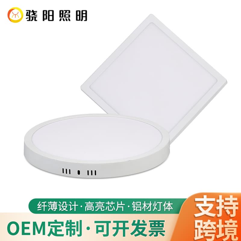 Custom cross-border surface-mounted panel light round square ultra-thin white household hotel engineering ceiling flat panel light downlight