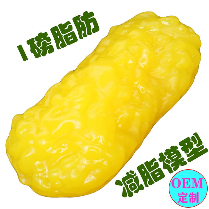 Medical Teaching Model Human Simulated Fat Model Display Prop, Medical Cosmetology Weight Loss Fat Reduction Tool