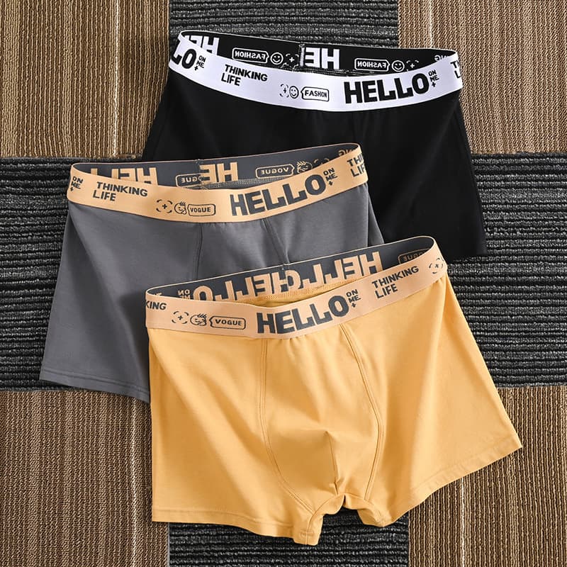 Men's Boxer Briefs, Youth Breathable Cotton Texture, Trendy Men's Shorts, Summer Wholesale