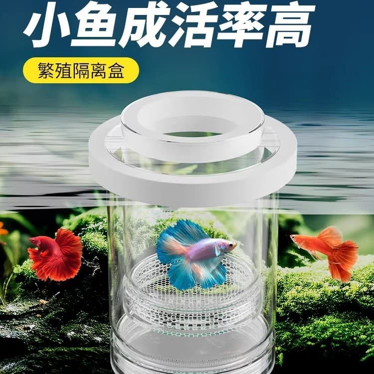 Aquarium supplies small fish egg guppy hatching box fish tank breeding isolation box fry zebrafish betta fish tank