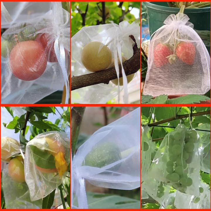 Fruit bagging insect net bags, strawberry fruit fly protection, grape insect net bags, light-permeable protective mesh bags.