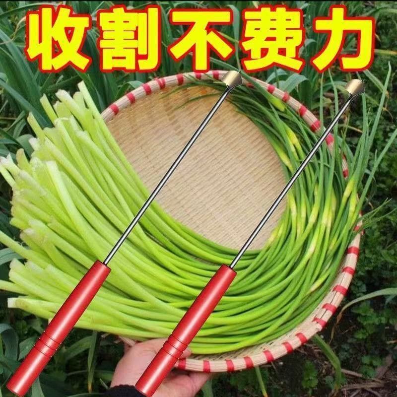 Garlic moss knife, garlic sprout harvesting knife, garlic extractor, garlic peeler, garlic moss scraper, garlic seedling scraping tool, garlic picker.