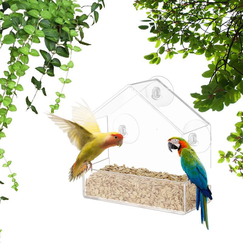Acrylic Bird Feeder Suction Cup Wall Mounted Transparent Feeding Box No Punching Pet Supplies Small Bird Cage Feeding Device