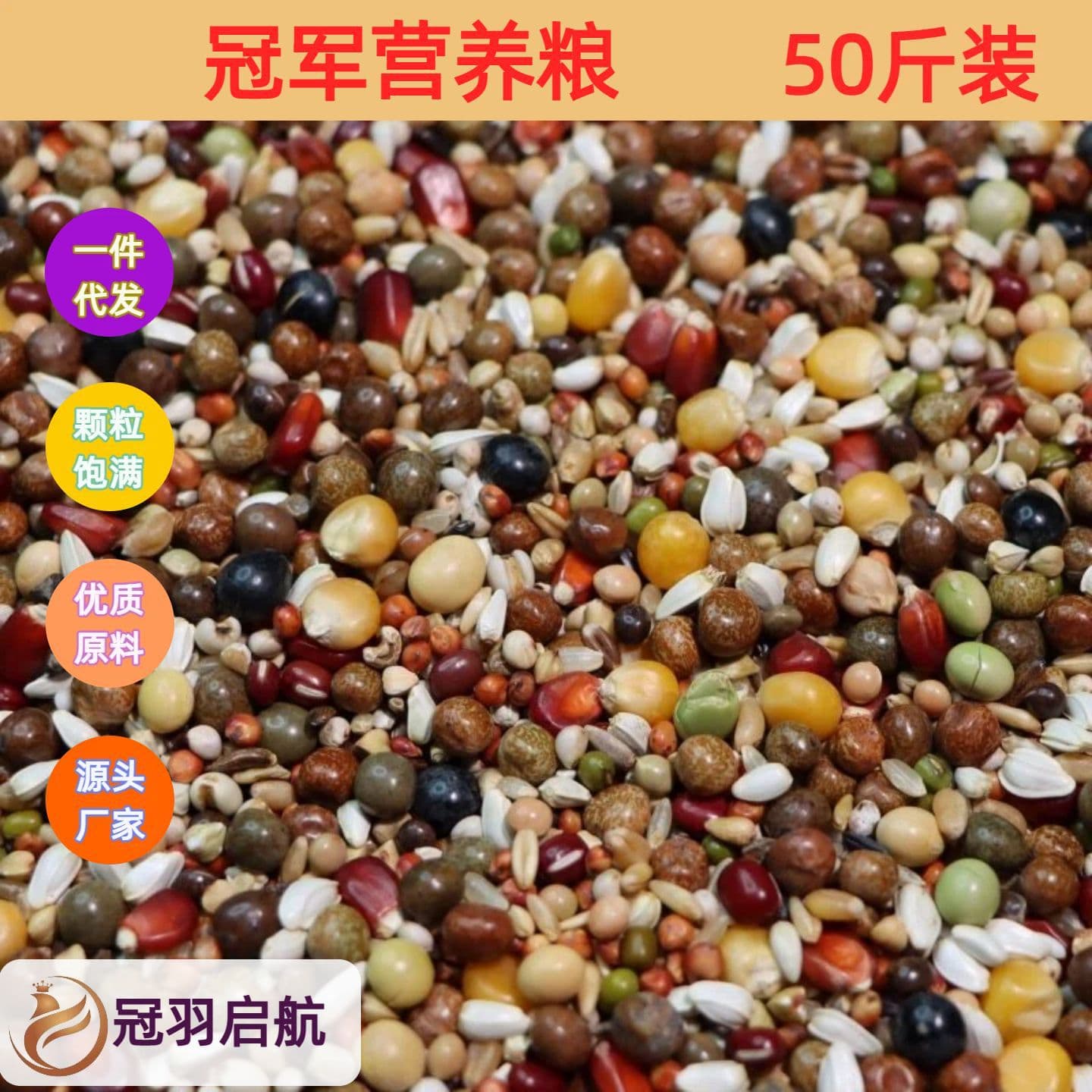 Pigeon Food with Corn Feed, Nutritious Feed, Bird Food, Young Pigeons, Racing Pigeons, Meat Pigeons, Adult Pigeons, Free Shipping