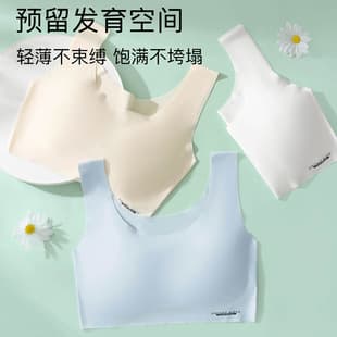 Seamless Vest Bra Push-up for Teen Girls, Sweet Bra Vest Style, Wireless Breathable Comfortable Ice Silk Bra for Women