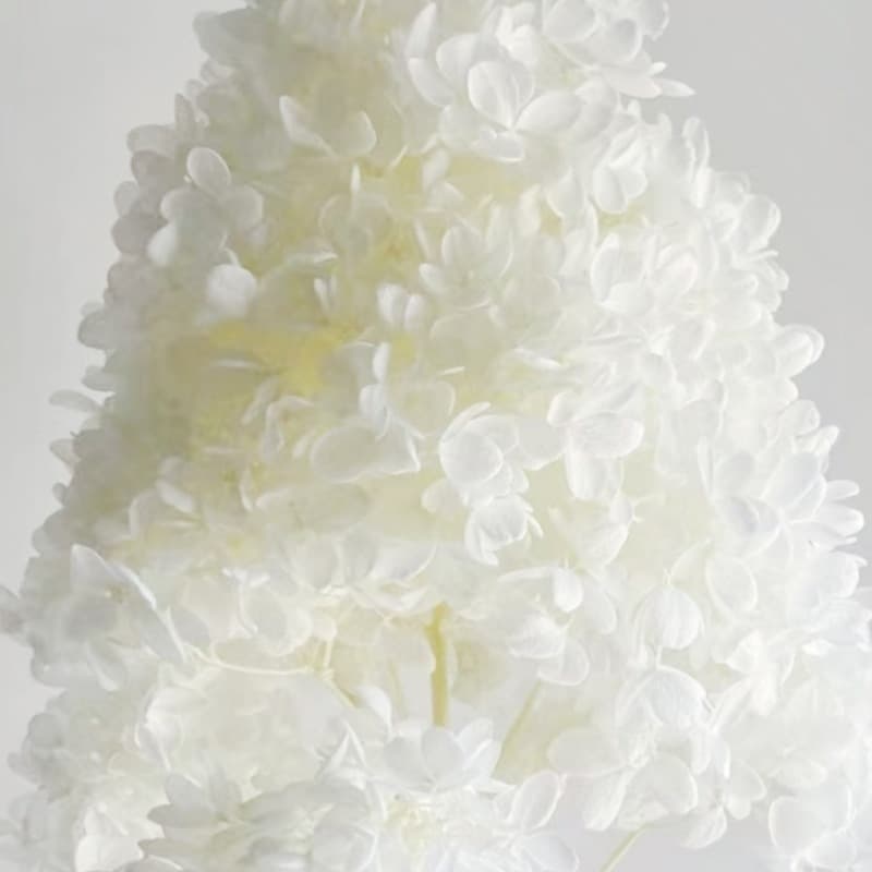 Everlasting Flower A-Grade Hydrangea Head Handmade Material DIY Kit Valentine's Day Gift Box Filler Glass Dome Headpiece