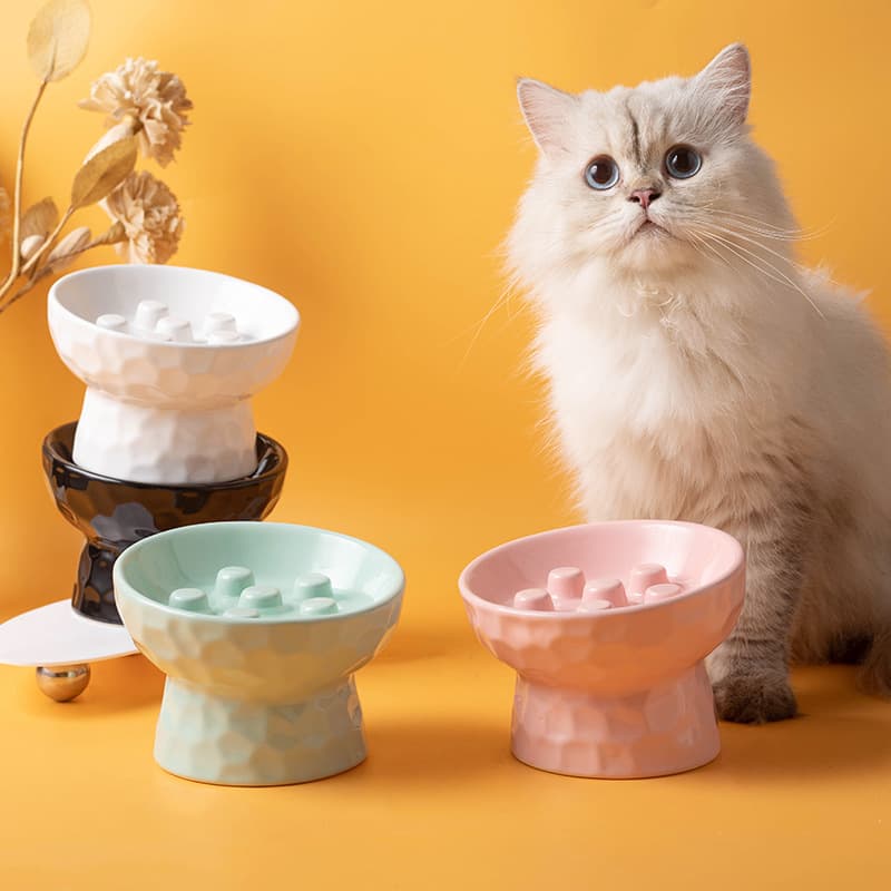 Ceramic Raised Cat Bowl, Slow Feeder Anti-Choke Anti-Tip Slanted Neck-Protective Pet Food Bowl for Cats and Dogs