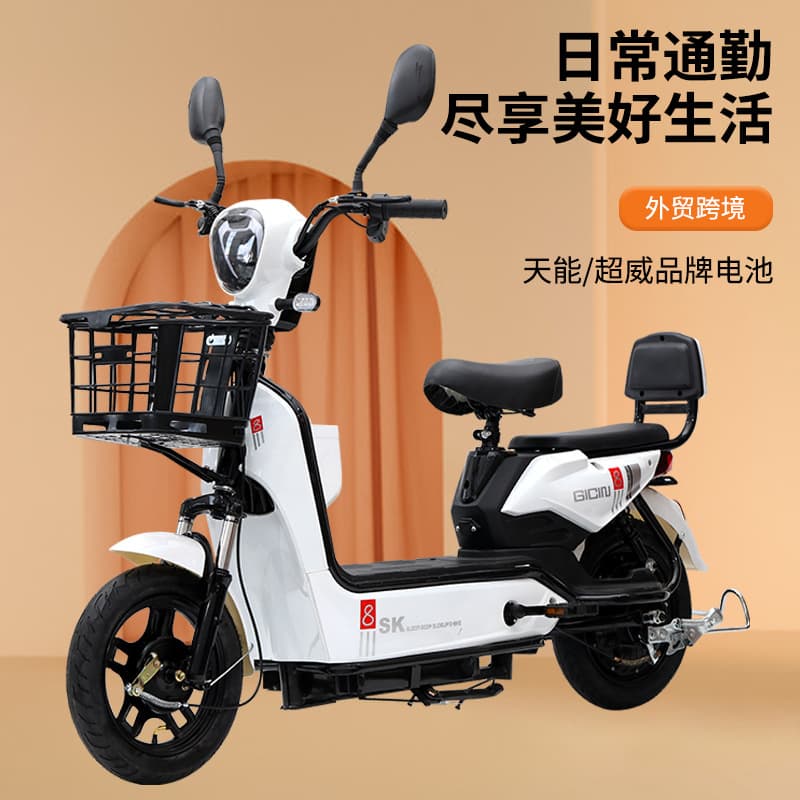 2026 New National Standard Electric Bicycle Cross-Border Export Hot-Selling Dual-Person Electric Bicycle Original Factory