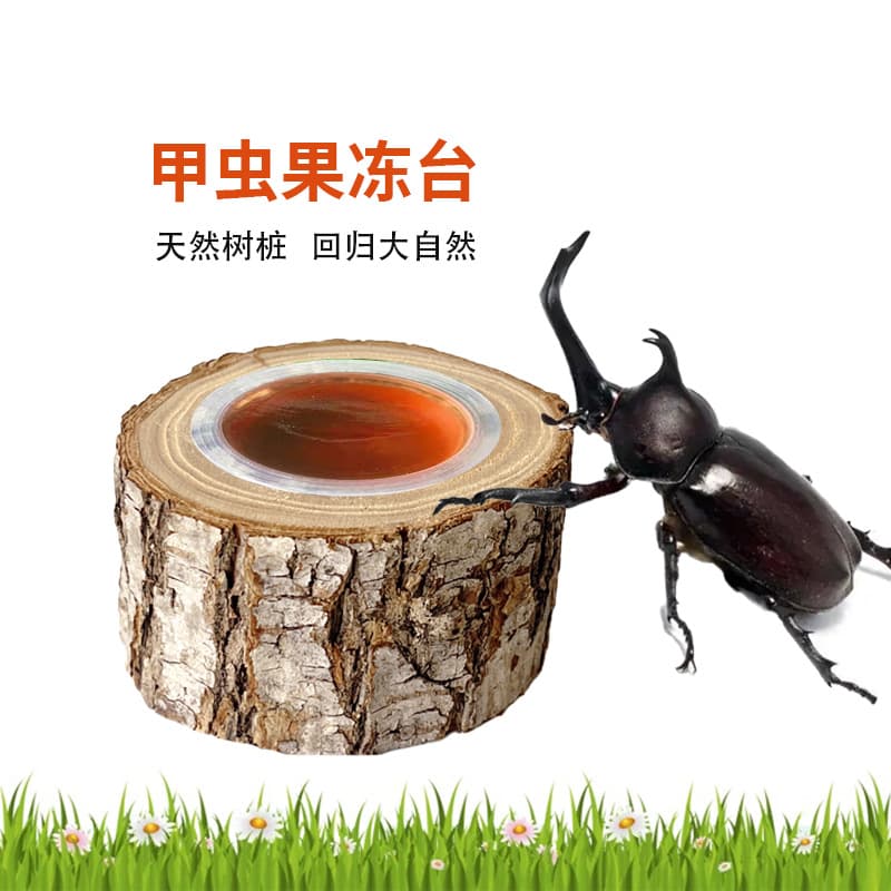 Rhinoceros Beetle Jelly Feeder, Insect Jelly Dish, Stag Beetle Round Climbing Wide-Mouth Feeding Platform, Solid Wood Landscaping Tree Stump
