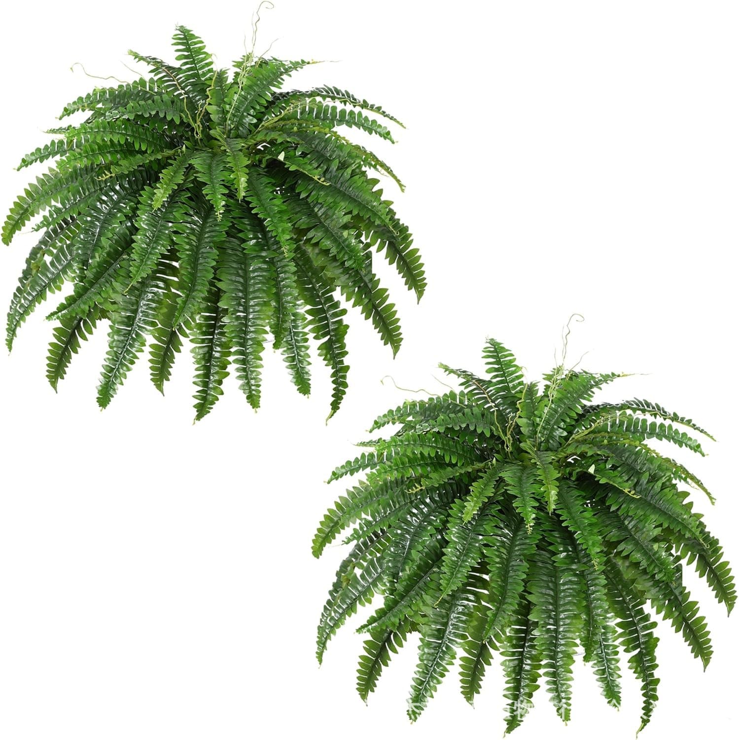 Independent Amazon cross-border encrypted simulated green plants, ferns, large Persian leaves, Boston ferns