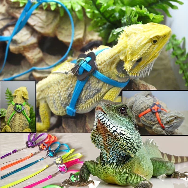 New Cross-Border Adjustable Reptile Leash for Small Pets with Cross-Border Shipping