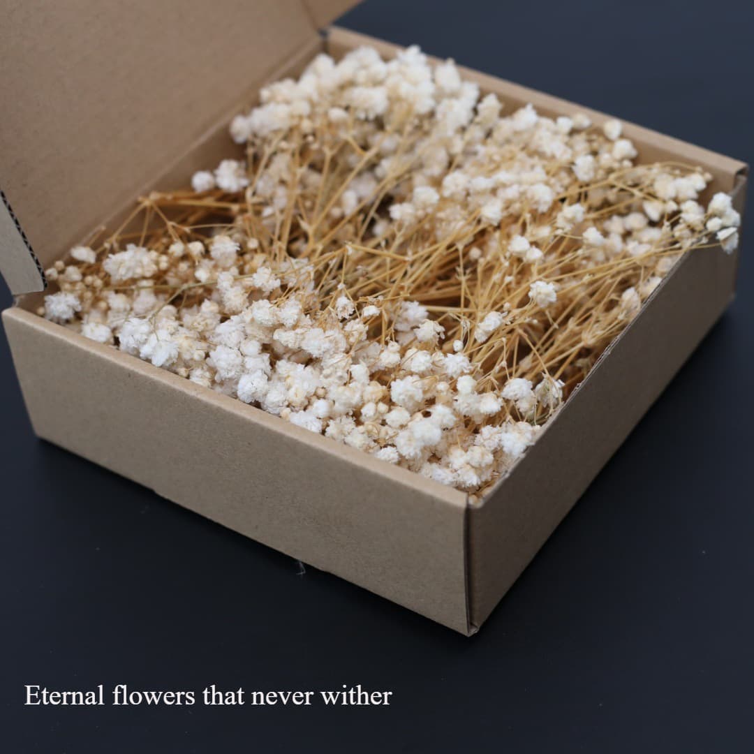 DIY Preserved Flower Materials: Baby's Breath Dried Real Flowers for Christmas Wedding Decoration, Valentine's Day Handmade DIY Gift