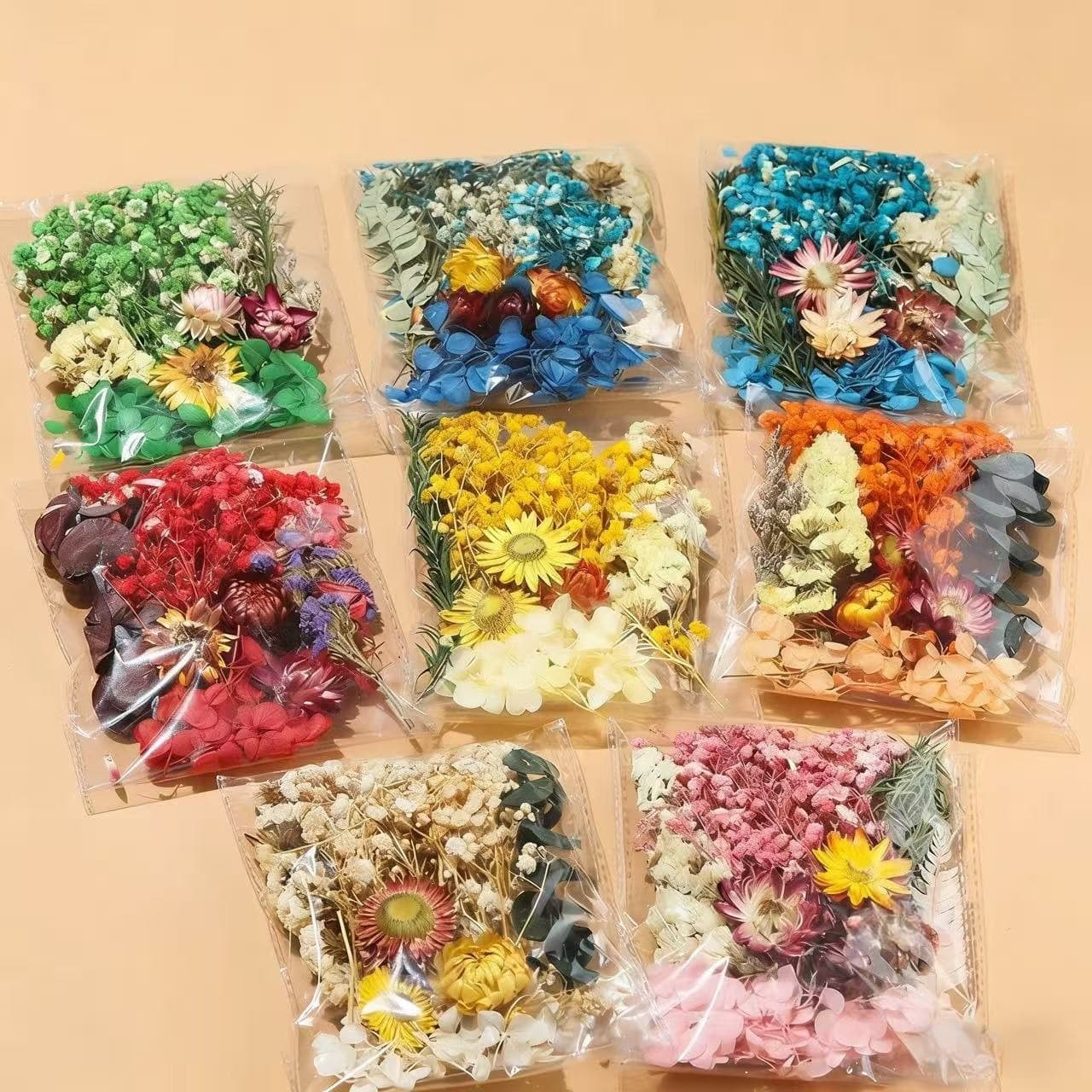 Dried Flower Round Fan DIY Kit with Preserved Flowers, DIY Photo Frame Sticker, Floating Flowers for Women's Day Floral Class, Bagged Flower Materials