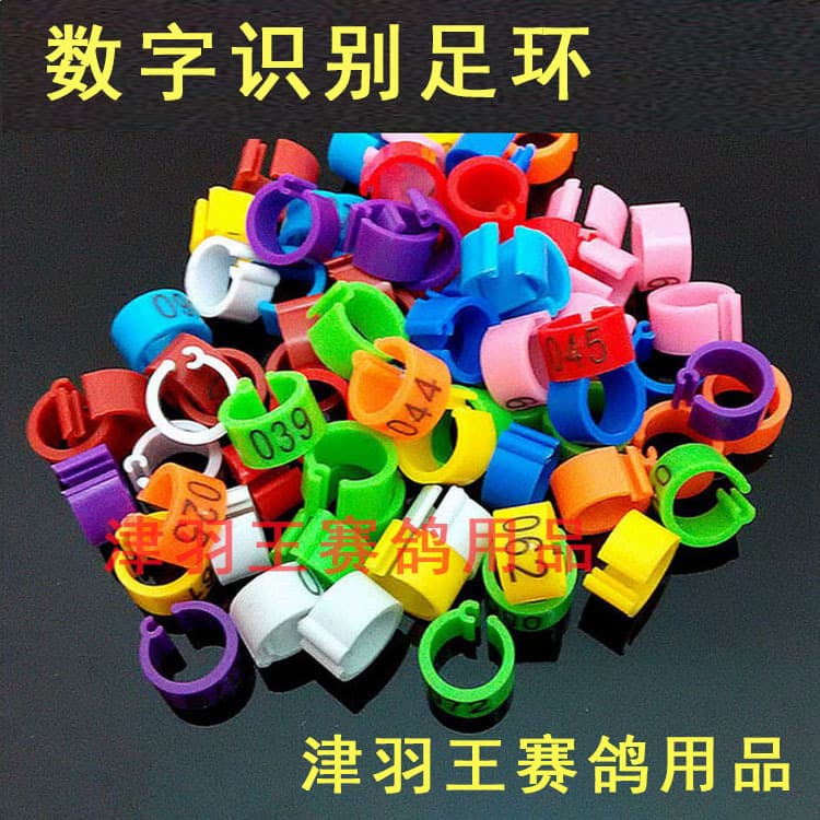 Jinyuwang Digital Identification Ring for Pigeon Foot Bands, Inner Diameter 8mm/10mm, Open-Ended Racing Pigeon Foot Ring with Lettering