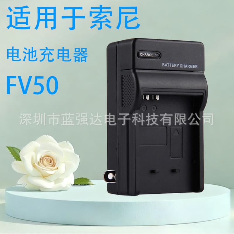 Compatible with Sony FV50 FV70 FV100 FH50 FH70 Battery Charger