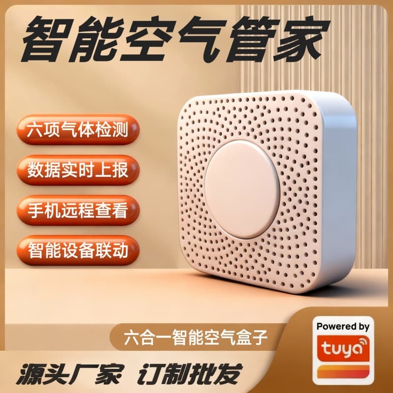 The Graffiti Solution 6-in-1 Smart Air Box: PM2.5, Formaldehyde, VOC, Carbon Dioxide, and Harmful Gas Detector