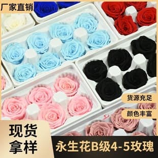 Immortal Flower B-Grade 4-5 Rose Dried Flower Handmade Glass Dome Unicorn DIY Material Handmade Bear
