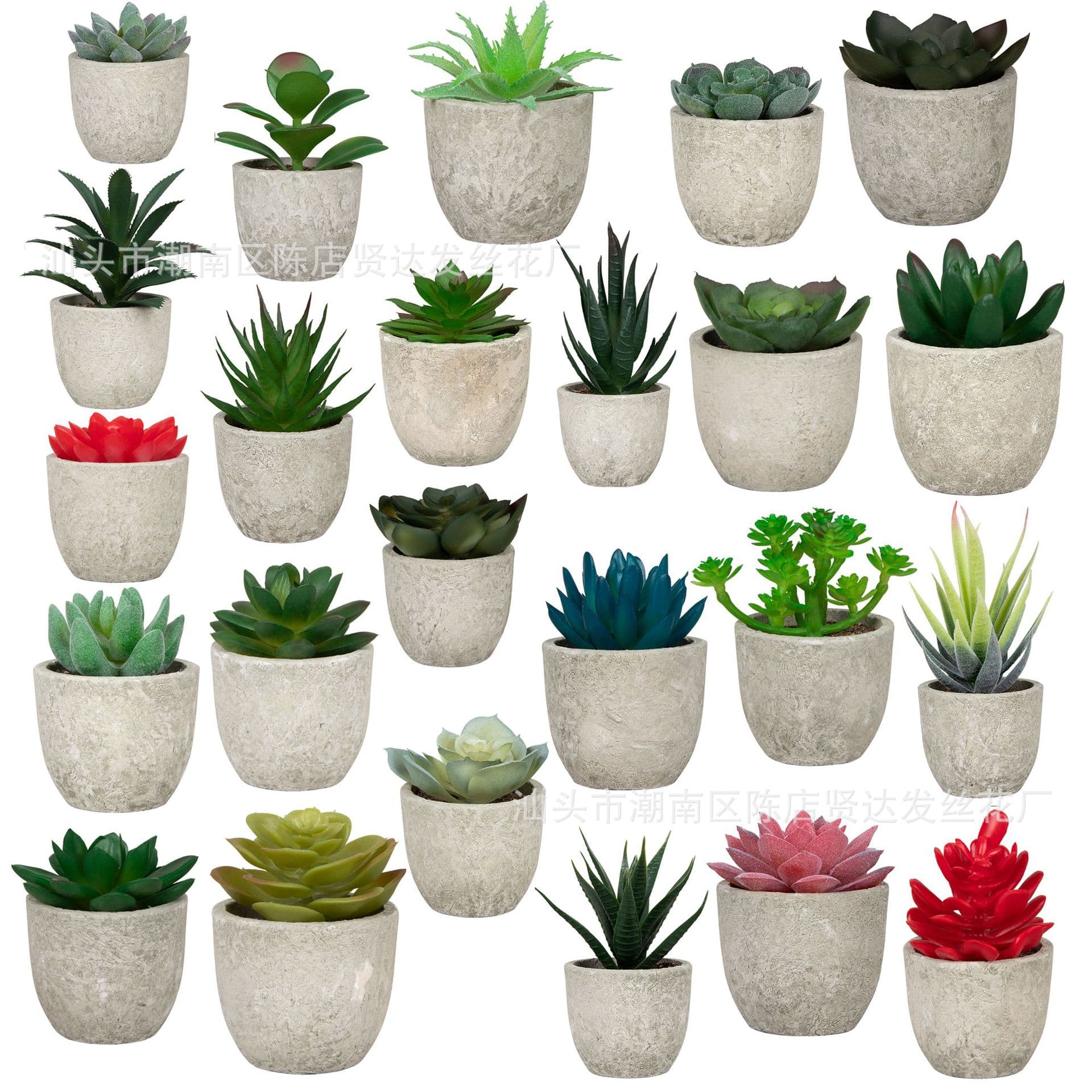 Ready Stock Simulation Succulent Mini Pulp Bonsai, Amazon Indoor Balcony Desktop Artificial Succulent Plant