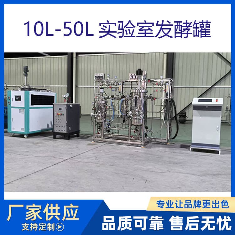 Ruisheng Machinery Laboratory Biological Spawn Fermentation System, 10L-100L Small Fermentation Tanks, Worry-free After-sales Service