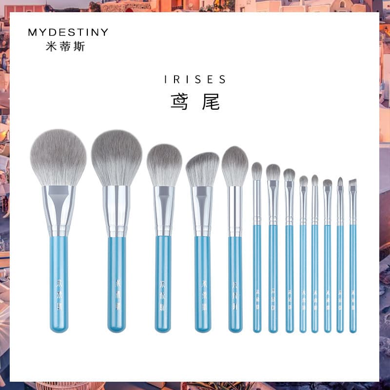 Iris 13-piece makeup brush set foundation brush blush brush loose powder brush eye shadow concealer blending brush makeup brush Cangzhou