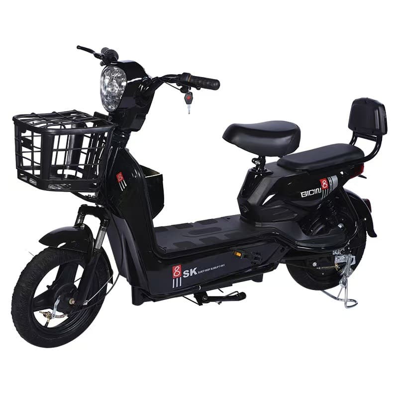 Golden Eagle electric bicycle, a hot-selling export model, is suitable for both men and women, and is ideal for daily commuting.