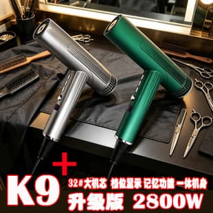 Barbershop Hair Dryer, Negative Ionic Hair Care, High-Speed Brushless Motor, Salon High Power Constant Temperature Fast Drying