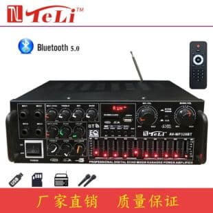 Factory Direct Bluetooth Amplifier High Power EQ Equalizer 12V Square Dance FM Outdoor Amplifier