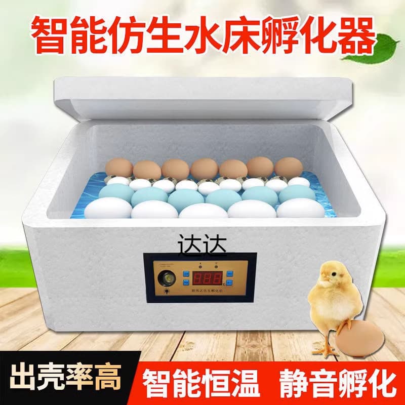 Small Automatic Intelligent Egg Incubator for Chicken, Duck, Pigeon, and Quail Eggs with Water Bed