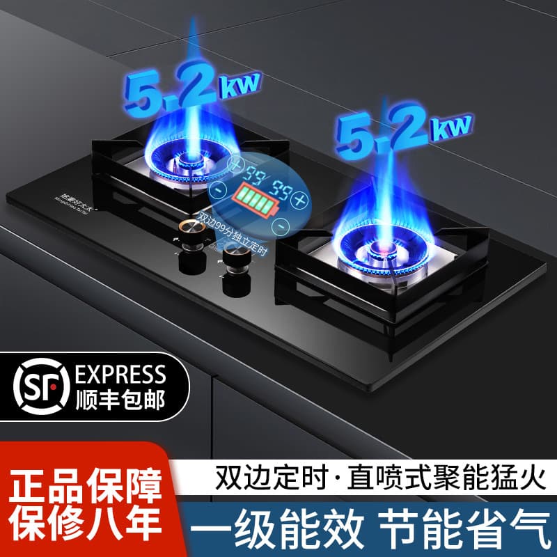 Gas Stove Household Kitchen High-End Cooktop LPG Natural Gas Stove Intelligent Timer High-Fire Gas Stove Double Burner
