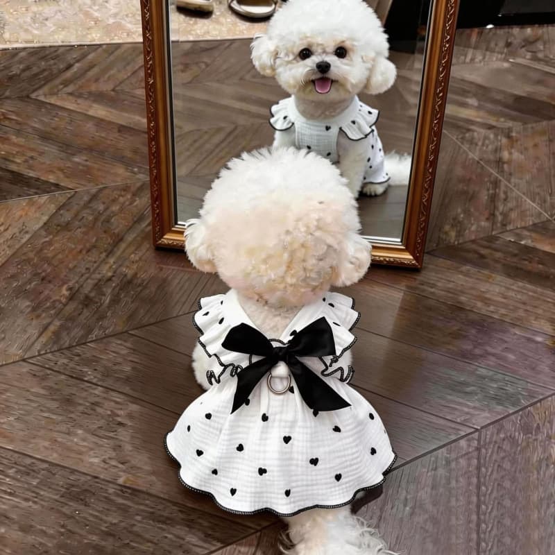 Dog Clothes, Summer Cute Princess Style Bow Dress, Bichon Teddy Tutu Skirt, Pet Summer Clothing, Breathable