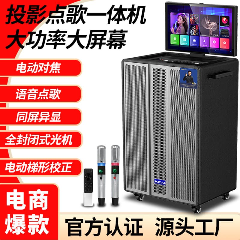 Outdoor Projector Speaker All-in-One with High Power Bass, Professional Sound Card for Live Streaming