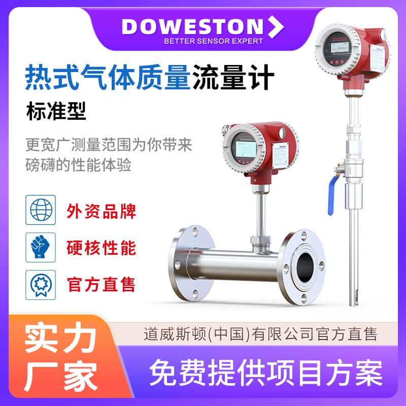 Thermal Gas Mass Flow Meter Stainless Steel Digital Display Compressed Air Natural Gas Small Flow Gas Flow Meter