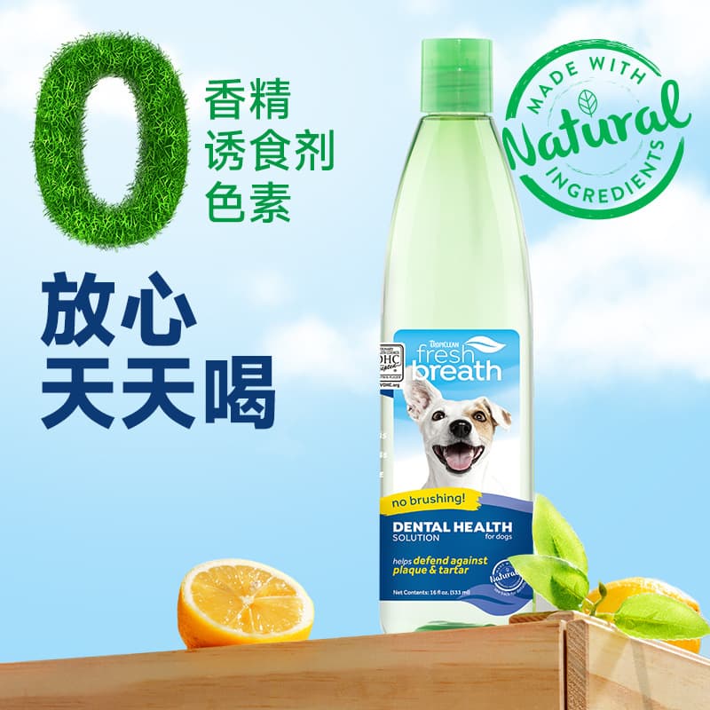 Domeijie Pet Dental Water for Dogs and Cats, Cat Teeth Cleaning Mouthwash, Fresh Breath, No Brushing Required, Pet Store Wholesale