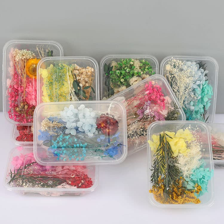 Preserved flower material package dried flowers diy material handmade candle fan glass cover photo frame embossed glue flower material package