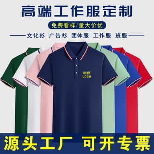 Business Men's Polo Shirt Custom Workwear Embroidery Collar Short Sleeve Advertising T-Shirt Event T-Shirt Print Logo