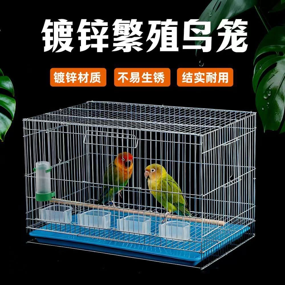 Bird Cage with Breeding Door, Galvanized Thickened Metal, Rust-Proof, for Cockatiel, Lovebird, Finch, with Perch and Tray, Summer Style