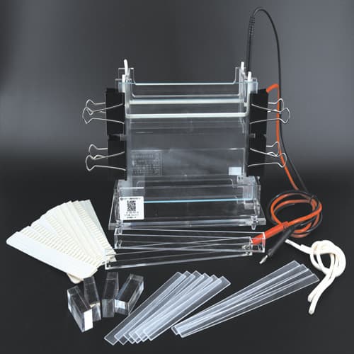 DYCZ-24EN Double Vertical Electrophoresis Apparatus, Medium Size, for Protein Gel and Two-Dimensional Electrophoresis, Liuyi