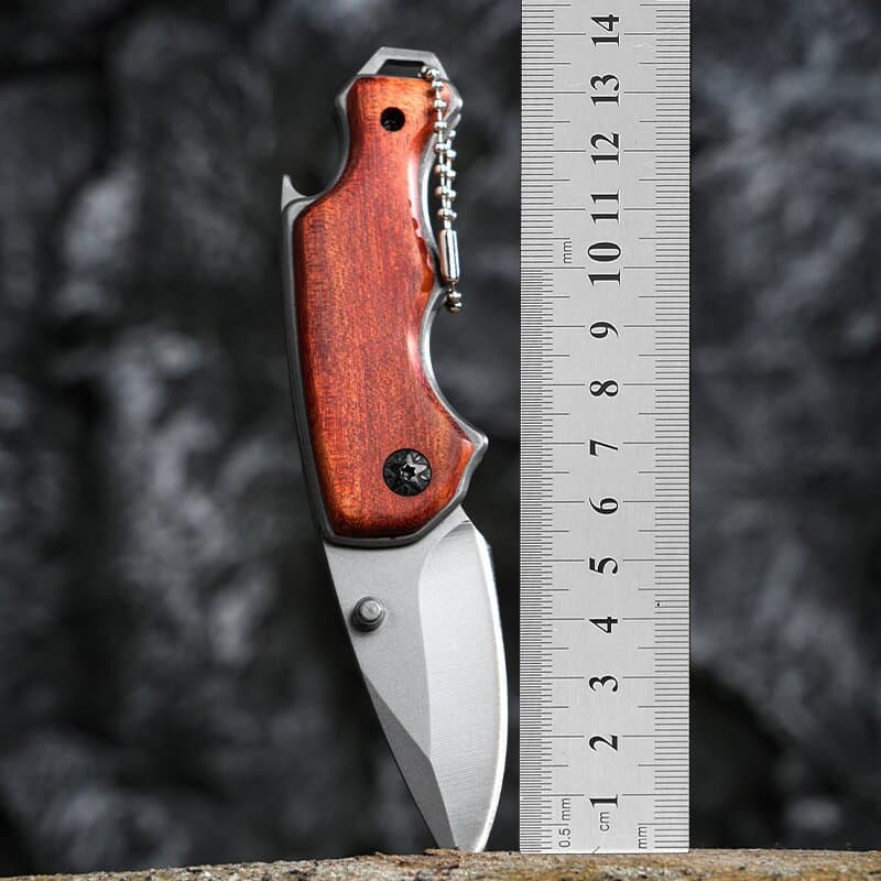 Factory Outdoor Portable Keychain Fruit Knife Camping Express Knife Solid Wood Handle Multifunctional Camping