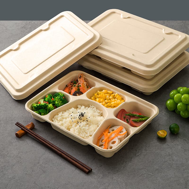 Disposable Pulp Square Meal Box with 3, 4, or 5 Compartments, Thickened Fast Food Container, Outdoor Picnic Eco-friendly Disposable