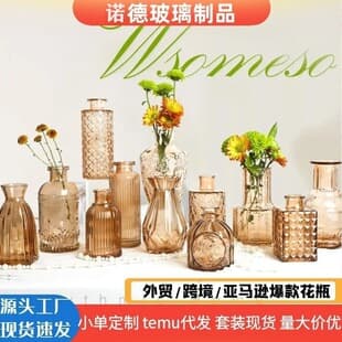Custom Luxury Glass Vase for Flower Arrangements Premium Look High-End Desktop Decoration Aromatherapy Bottle Small Vase Set