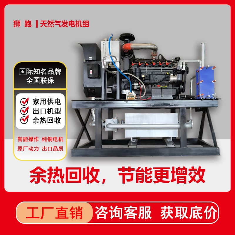 Natural Gas Biogas Generator Set 400V Three-Phase Heating Waste Heat Recovery Automatic Oil Replenishment Device Gas Power Generation