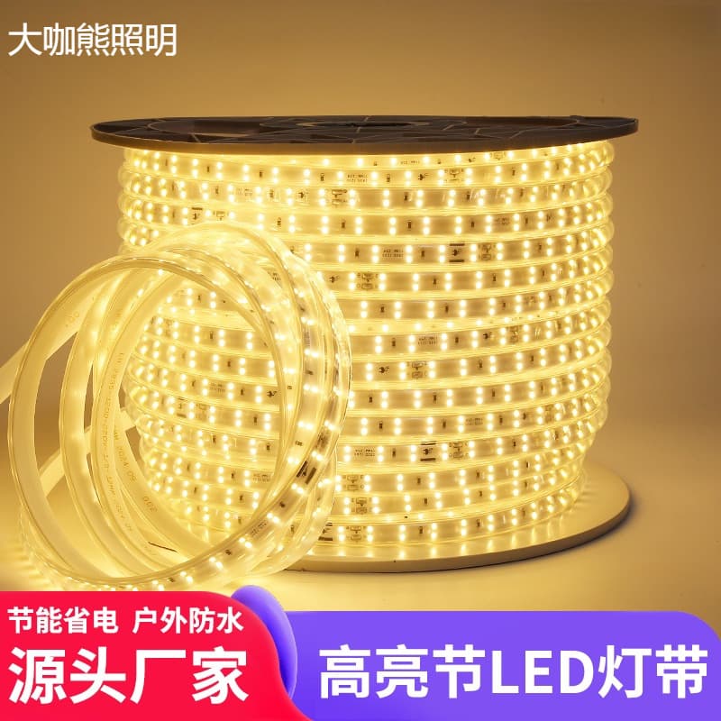 LED High-Brightness 2835 Outdoor Waterproof Double-Row Light Strip Home Living Room Ceiling Decoration Accommodation Ambiance Light Strip