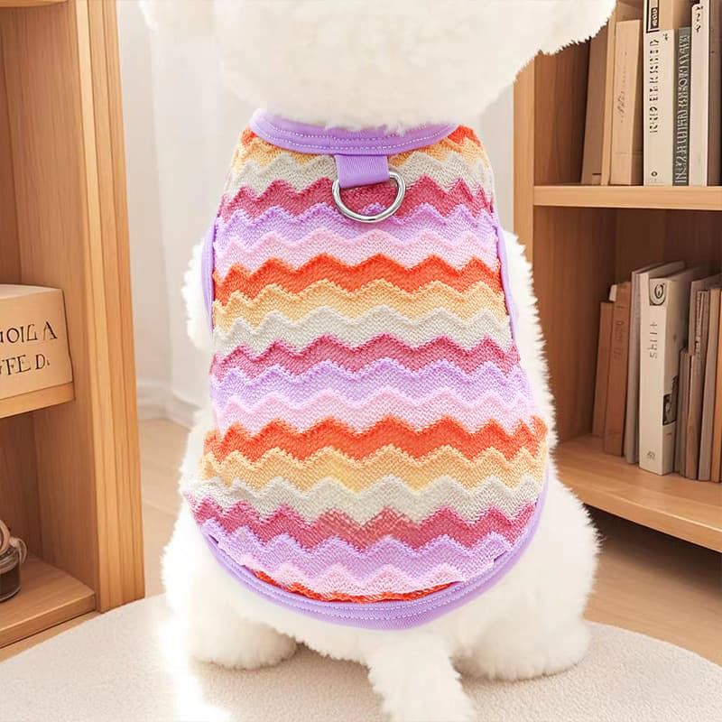 Pet Cat Spring Summer Rainbow Knit Vest for Ragdoll, British Shorthair, American Shorthair Anti-Shedding Factory Wholesale