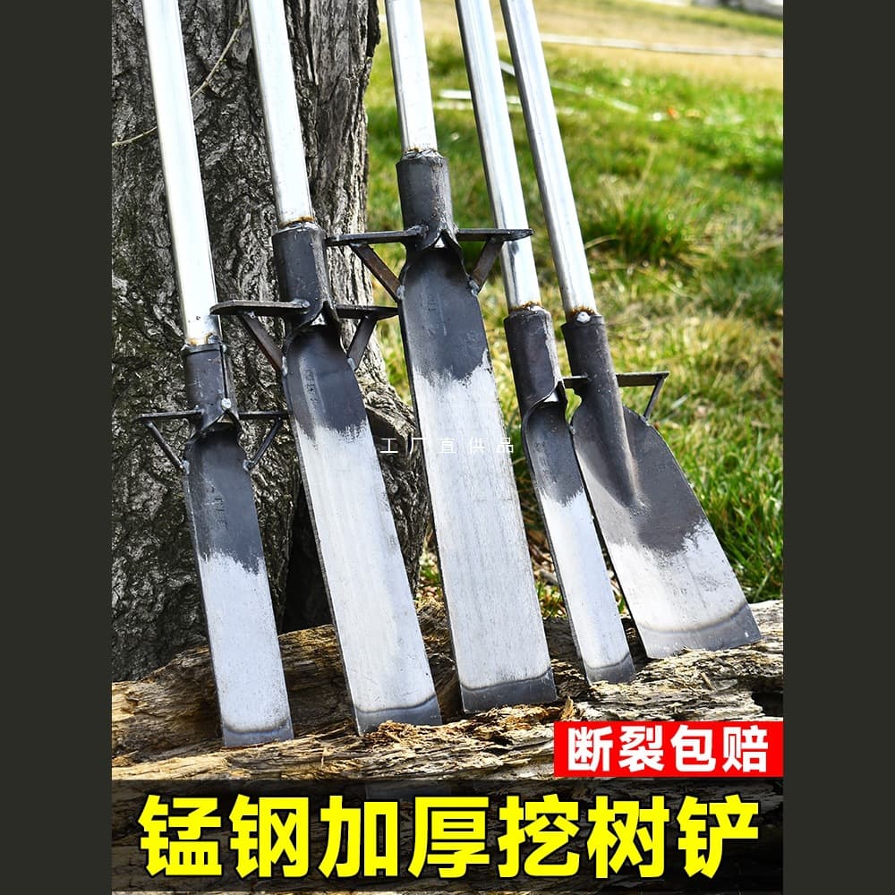 Tree digging shovel, Luoyang shovel, manganese steel shovel, hole digging tool, trench digging, seedling removal, root digging, bamboo shoot digging tool